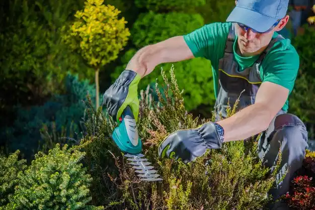 landscaping services Bath